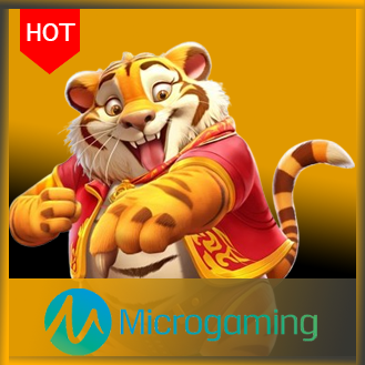 Micro Gaming Plus